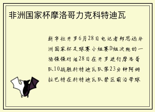 非洲国家杯摩洛哥力克科特迪瓦